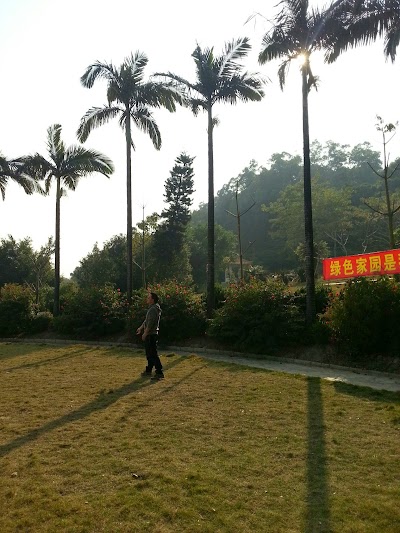 Photos of Jianfengshan Park