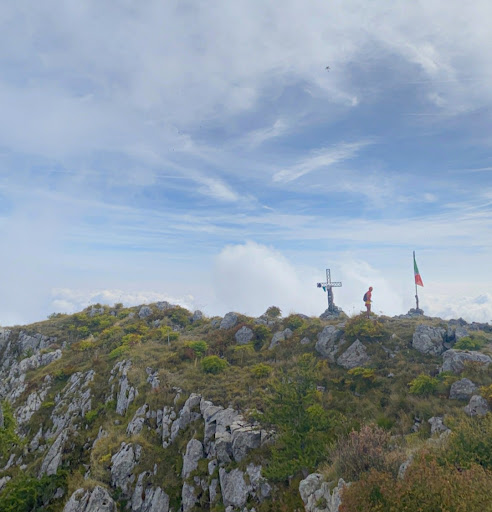 Monte Toraggio - Visual