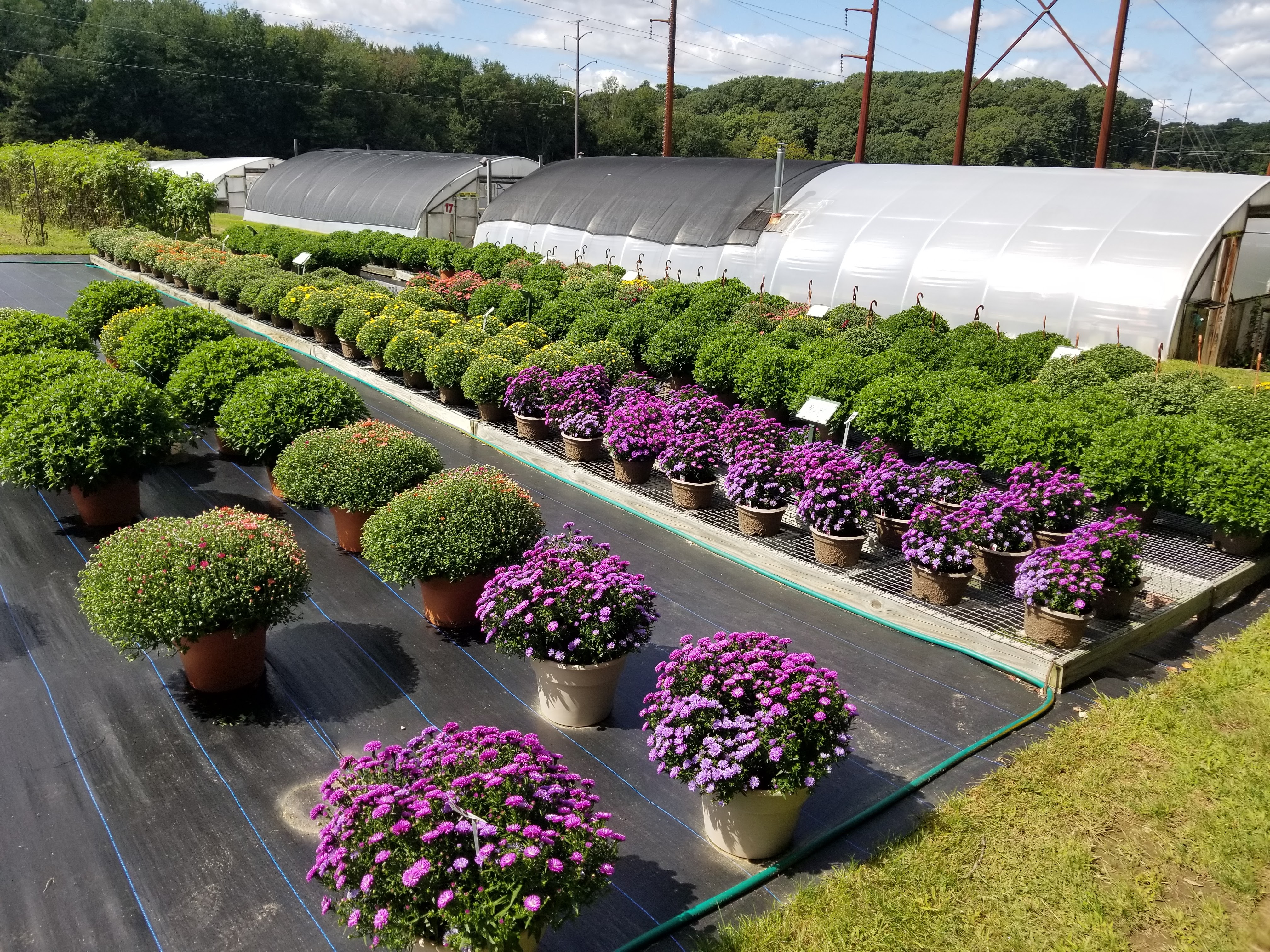 JK Greenhouses