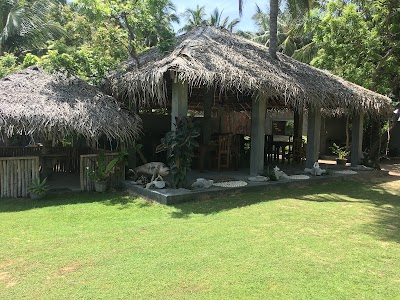Photos of Werala Beach Resort