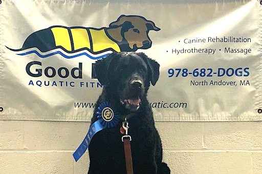 Good Dog Aquatic Fitness - Thumbnail