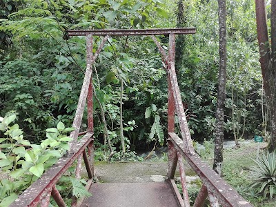 Photos of Bioparque Paradise