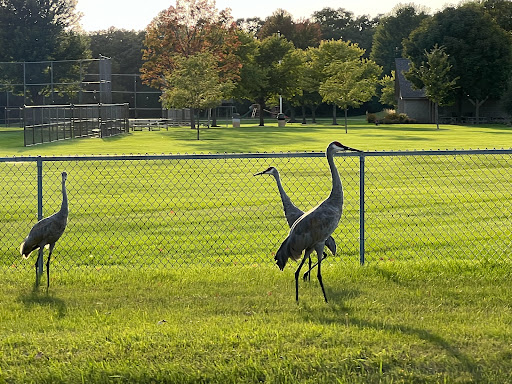 Ottawa Town Park