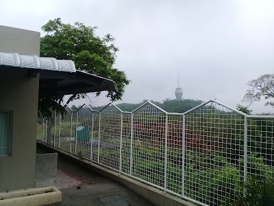 school