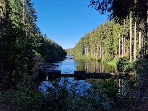 Apfelstädter Grund - Visual