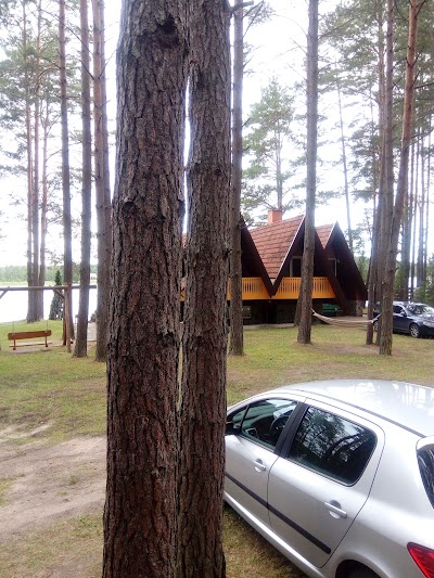 Photos of Giedavardys