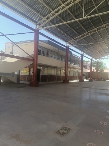Escuela Primaria Pascual M. Hernández - Thumbnail