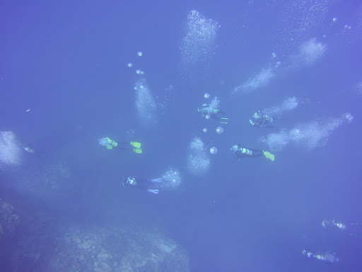 Penrith Divers - Visual