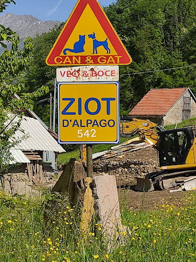 Ziot - Visual