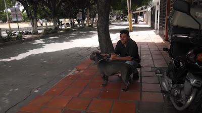 Photos of Tienda De Mascotas CAN HOUSE