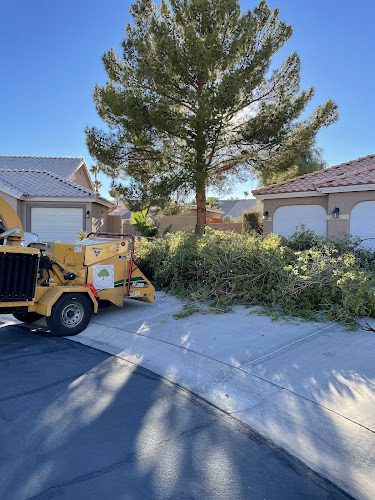Casino Tree Service and landscaping LLC