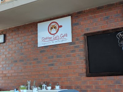 Photos of Coffee Cats.