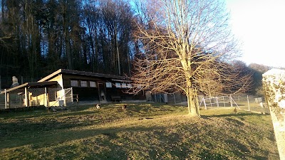 Photos of Tschugg Zoo