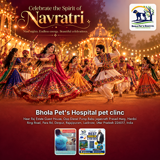 Celebrate Navratri with the best care for your pets at Bhola Pet's Hospital. Trusted animal hospi… post image