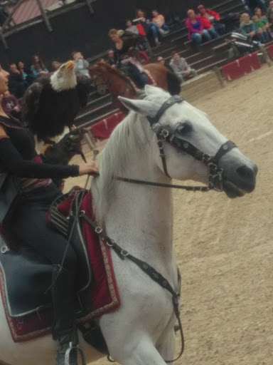 Photo de Foyer de la Cité à Petit-Ebersviller (57730)