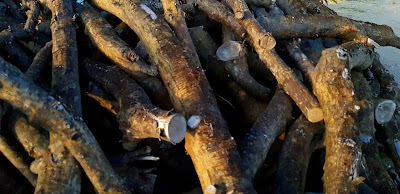 Photos of Kurigamu Kolhu