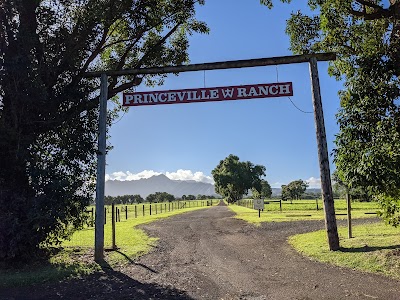 Princeville Ranch Waterfall Horseback