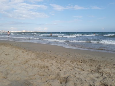 Photos of Apartamentos Plaza