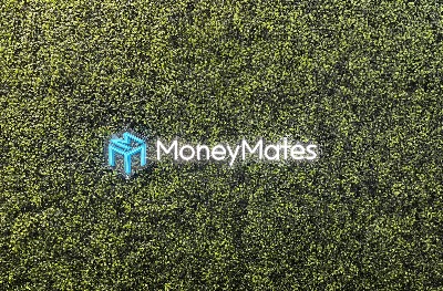 MoneyMates