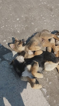 Меблекс ЕООД - София