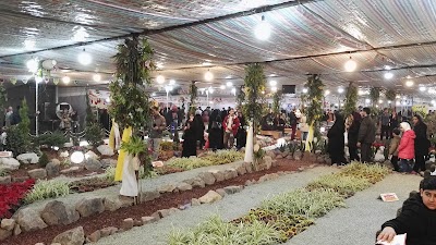 Photos of پارک پردیس بابل