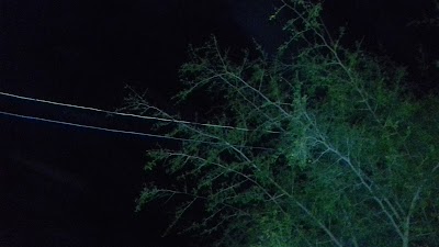 مسجد سدرة الرمل