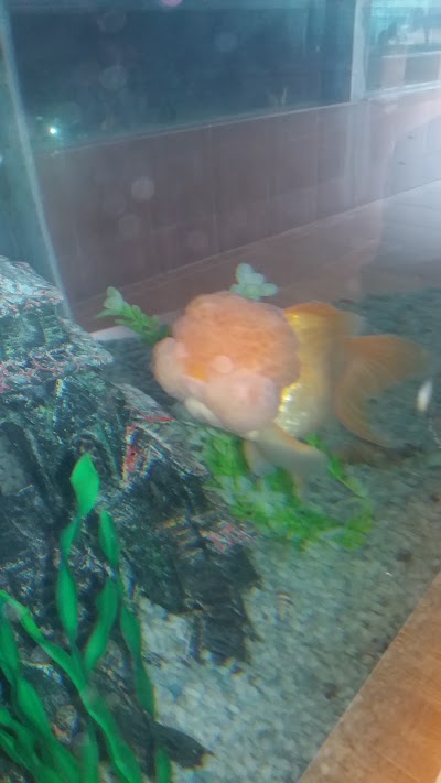 Photos of Palash Shilpanchal University & College, Ghorashal