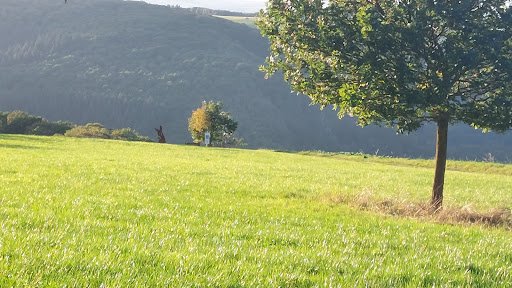 Murscher Stahlesel - Thumbnail