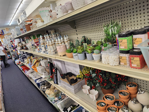 Two Buck Shop & More - Thumbnail