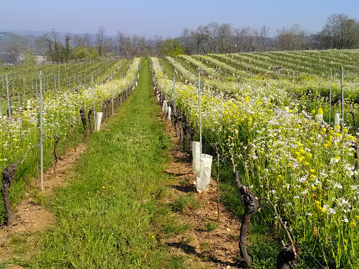Photo de Résidence Autonomie Adef Résidences la Maison des Coteaux de Glanes à Bretenoux (46130)
