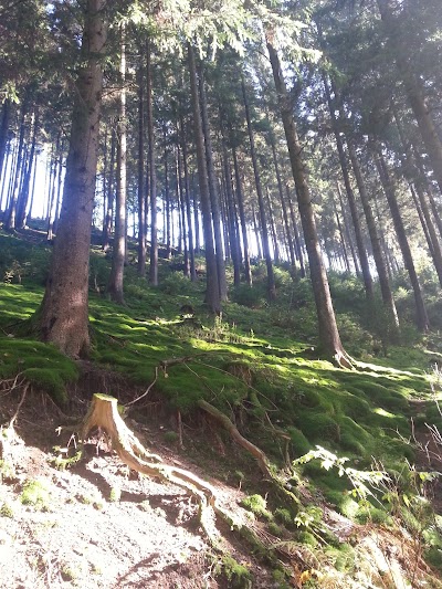 Photos of Camping Belle-Vue