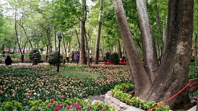 Photos of باغ ایرانی
