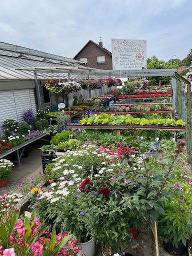Plagges Blumenladen - Thumbnail