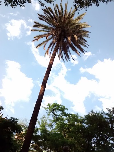 Photos of El Guan&aacute;bano