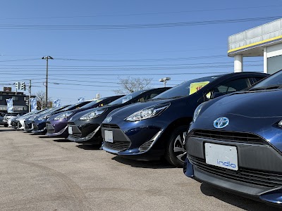 インディオ ハイブリッド・コンパクト専門店