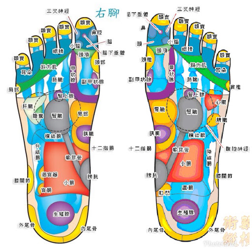 台南按摩千勝家足體養生館文賢店評價、營業時間、服務項目、價格 - 專業按摩舒壓