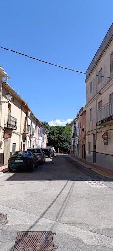 Palmera - Visual