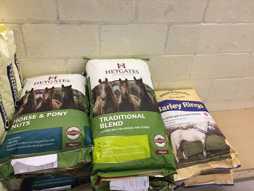 Powys Pets - Visual