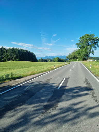 Wildberg - Visual