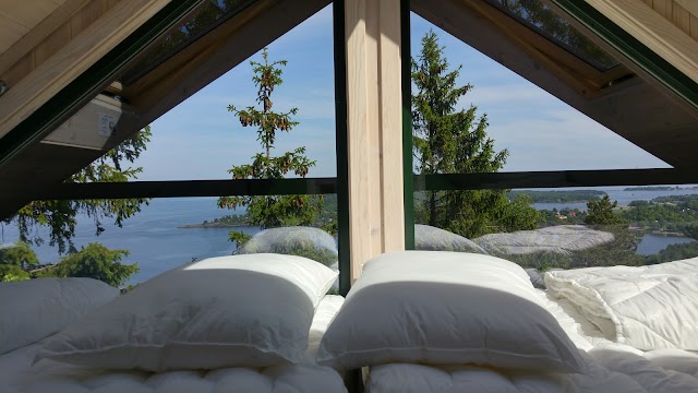 Tretopphytter Oslofjord