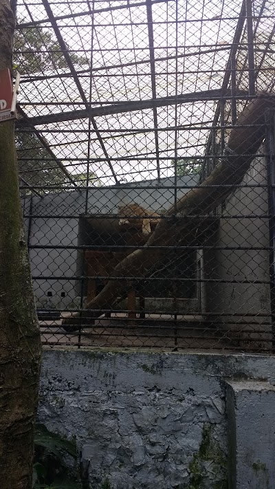 Photos of Zoologico Santacruz