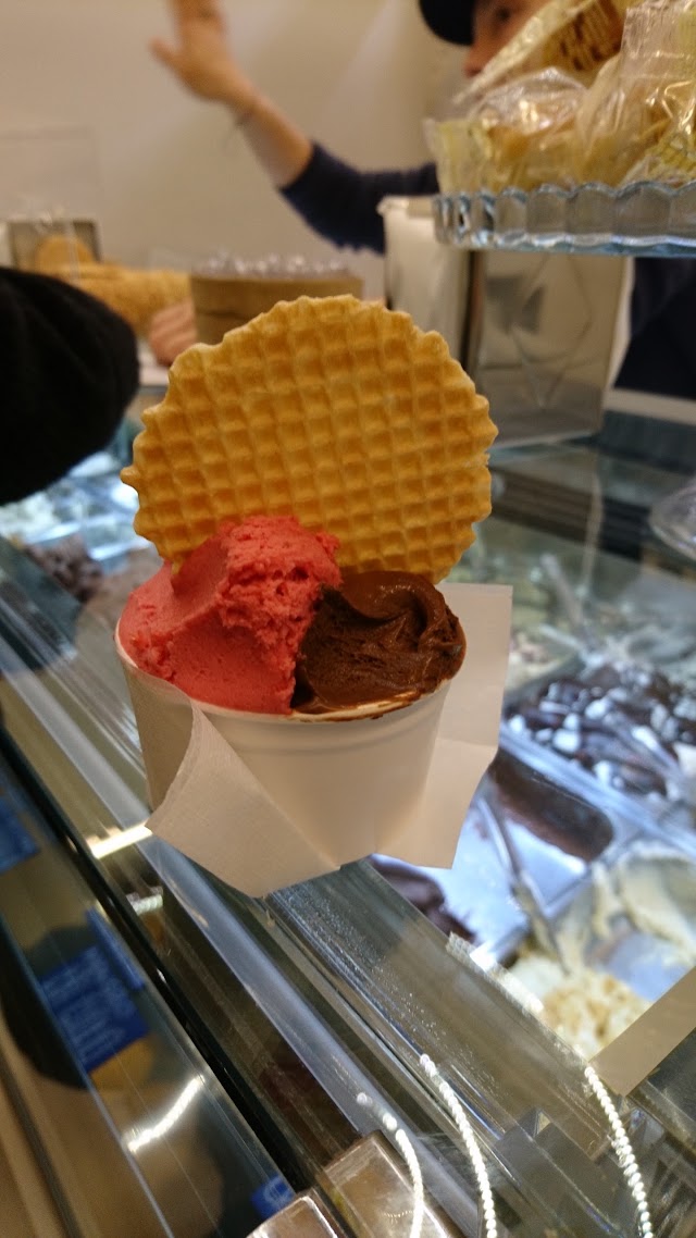 Gelateria Traditional LatteNeve