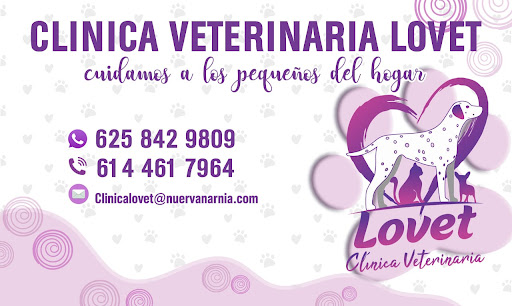 Lovet Clínica Veterinaria