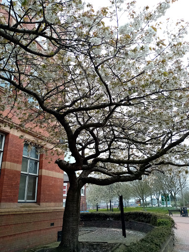 Longton Library - Visual