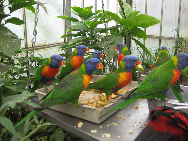 Wingham Wildlife Park