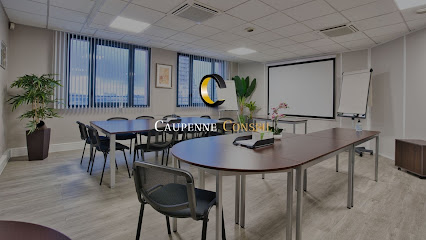 Caupenne Conseil