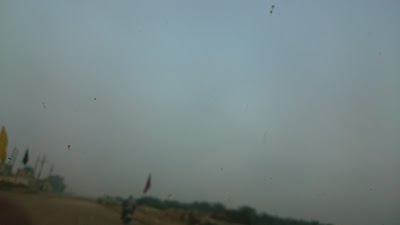 Photos of Shadegan Wildlife Refuge