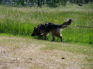 Photo n°1 de Truffologie à Arbois (Dresseur pour chiens)