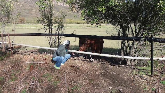 Paradise Cottages and Stables, Franschhoek