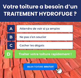 Photo n°10 de Conformité de l'habitat Français à Saint-Ouen-l'Aumône (Couvreur)